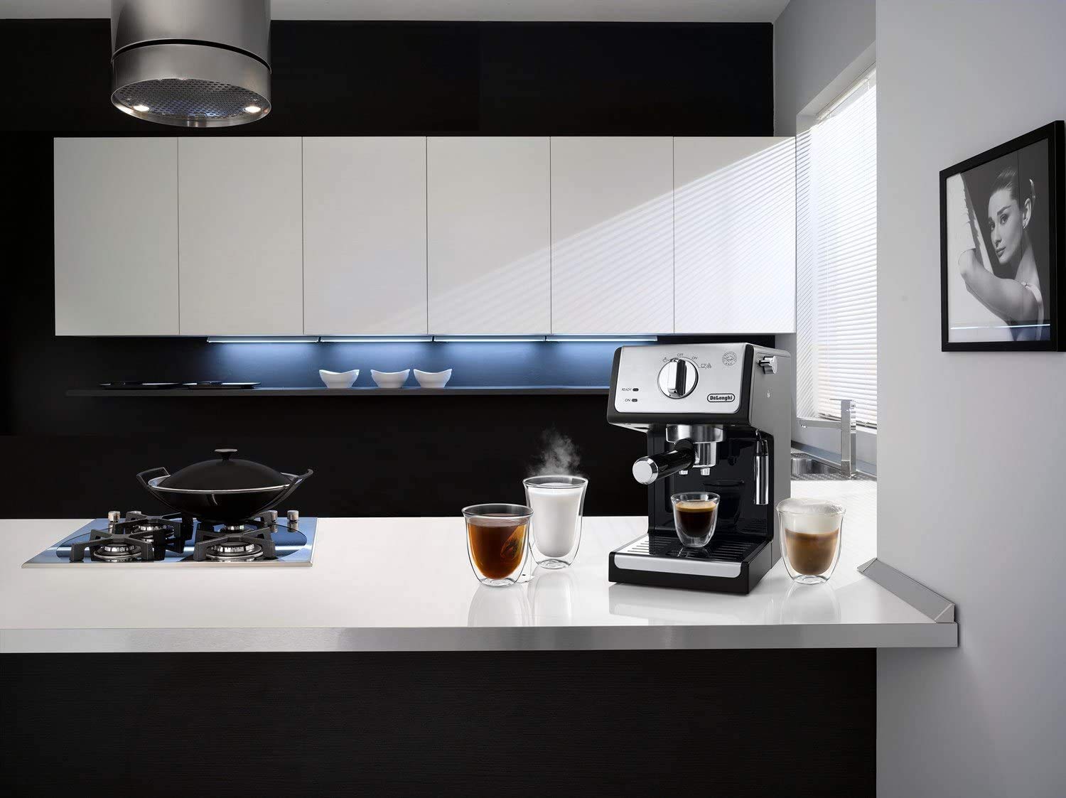 De'Longhi ECP3420 Espresso & Cappuccino Machine